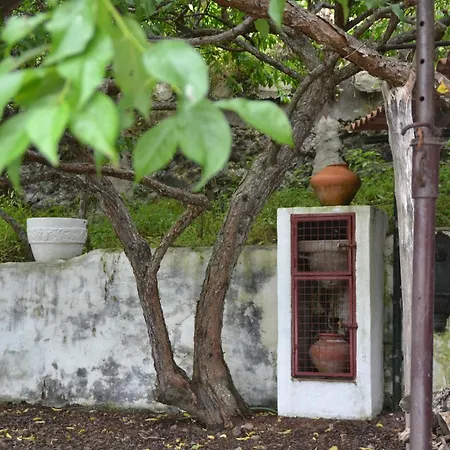 House With 2 Bedrooms In El Amparo, With Wonderful Sea View, Furnished El Amparo
