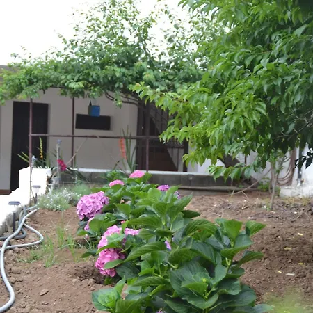House With 2 Bedrooms In El Amparo, With Wonderful Sea View, Furnished *